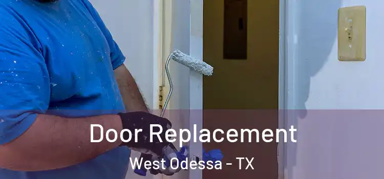  Door Replacement West Odessa - TX