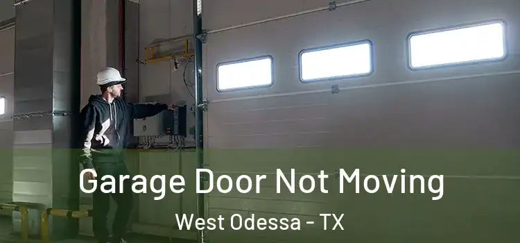  Garage Door Not Moving West Odessa - TX