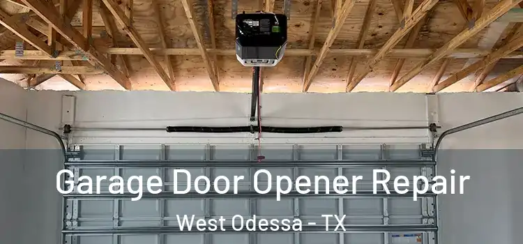  Garage Door Opener Repair West Odessa - TX