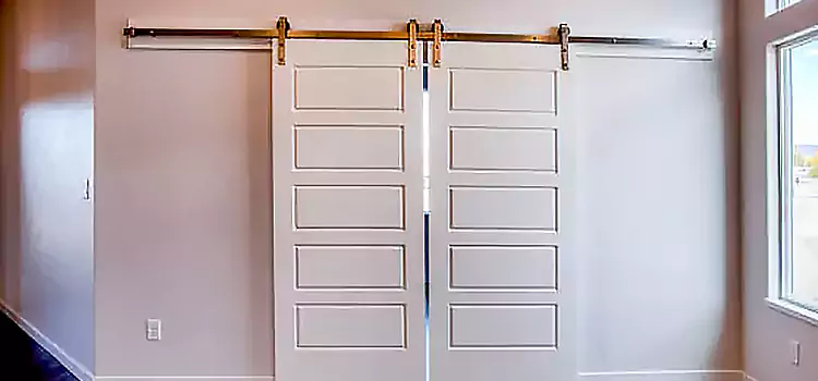 Glass Barn Door with Installation Hardware Kit West Odessa