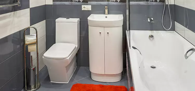 Hansgrohe Shaving Mirror West Odessa